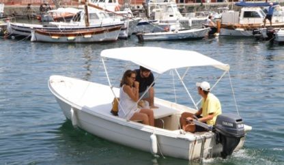 Charter Motorboat Lancia 4.85 Mt Malfa