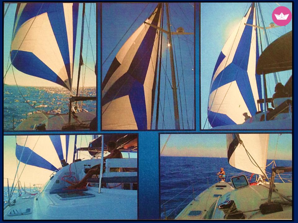 Catamaran Alliaure Marine privilege 435 13.45m 8
