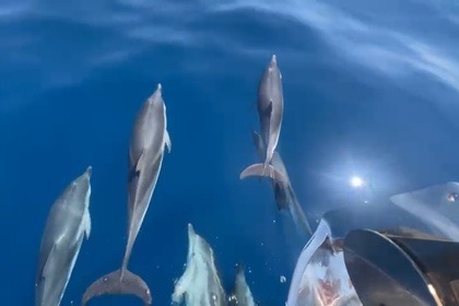 Miete Motorboot Jeanneau MERRY FISCHER 1095 Saint-Tropez