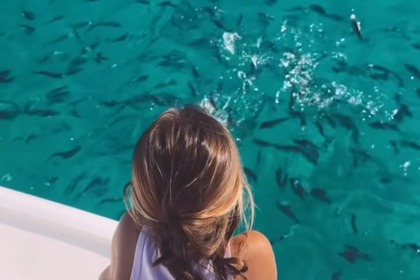 Sunseeker Superhawk 48