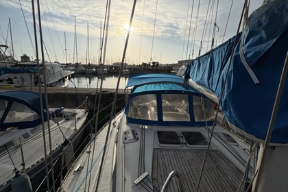 Bavaria 42 Caribic charter e noleggio