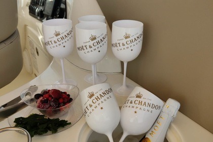 Sea Ray 520 VIP Experience