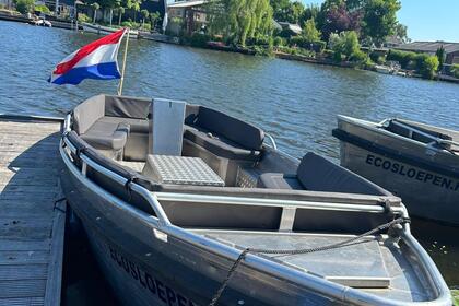 Charter Boat without licence  Pettersloep 540 Weesp