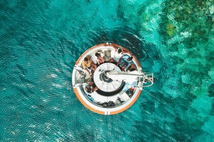 ? Excursión por la tarde en el mar: 4 horas de relajación y descubrimiento