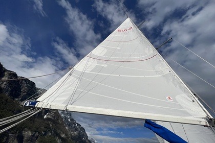 Shamrock 9.5 - RegattaYacht