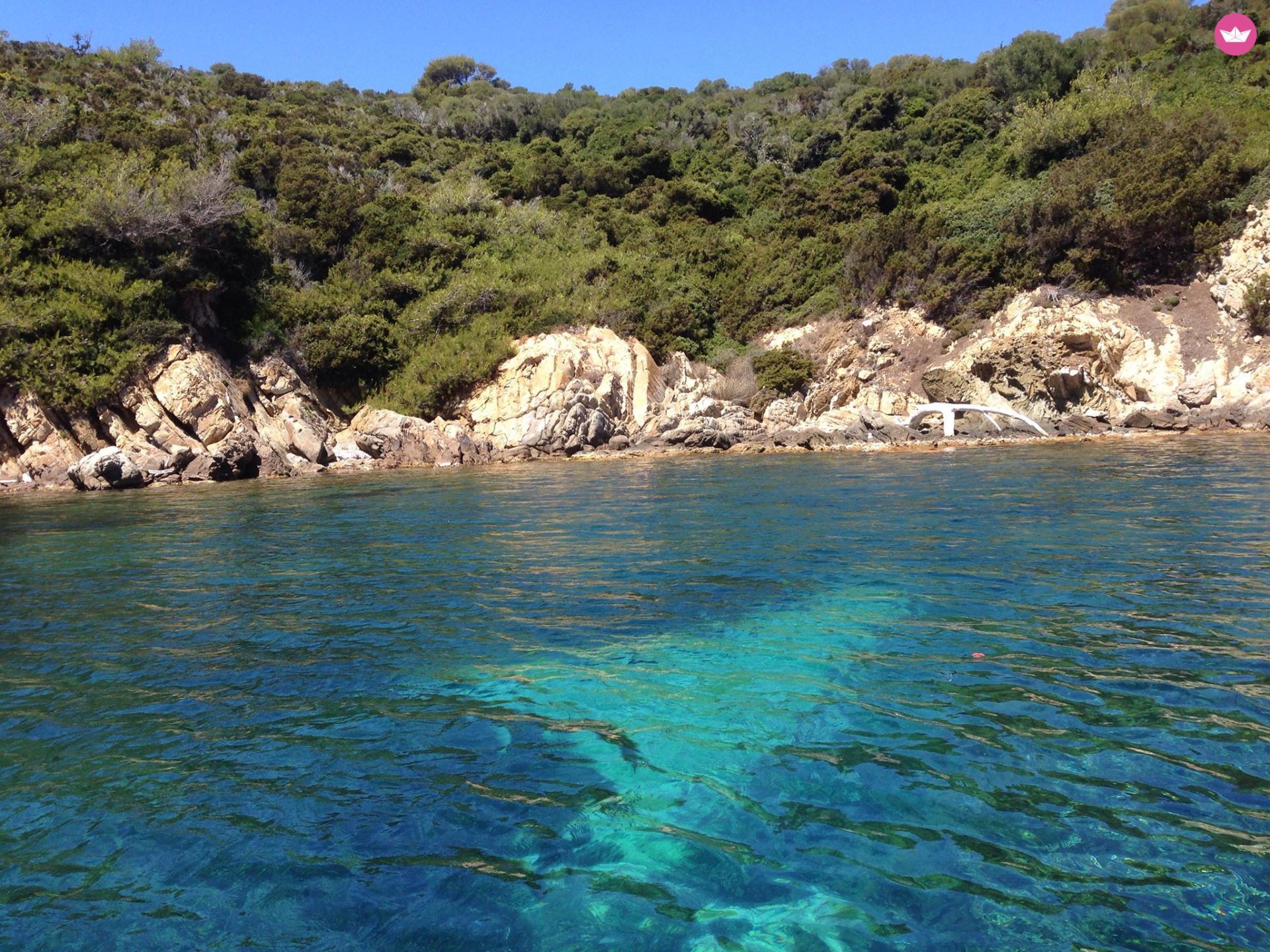 Motorboat Beneteau Beneteau Flyer 6M 150  Efi 2019 for rental