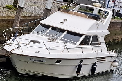 Charter Motorboat Princess 380 Drimmelen