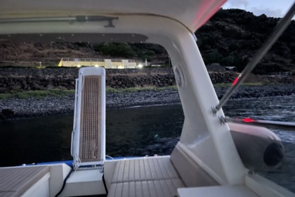 Squalo 2000 Squalo 38H