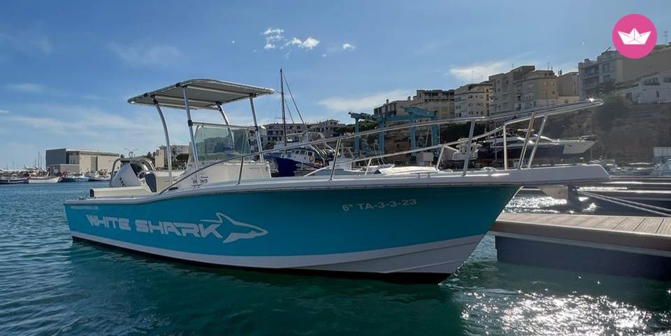 Bateau à moteur White shark 225cc 225cv 3
