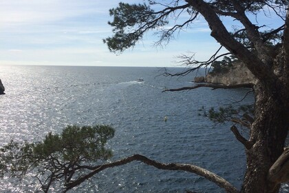 Quicksilver Activ 805 de 2019