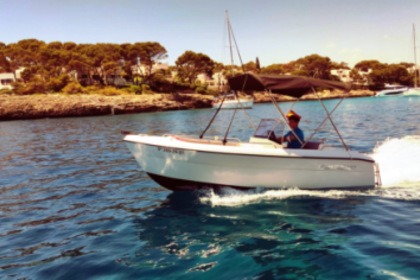 Charter Motorboat Pegazus 460 50HP Cala d'Or