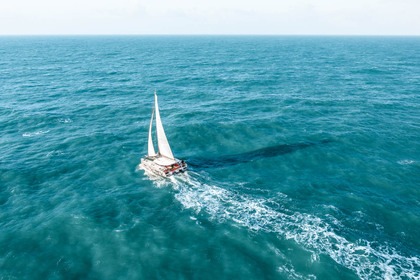 Excess 14 Catamaran - Phoebe