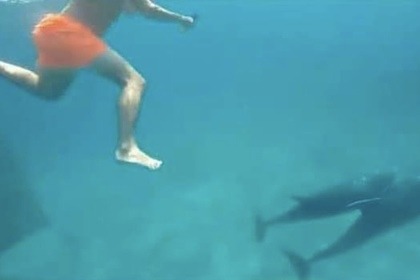 Stylmer Black Pearl 10M 500Cv