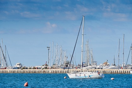 Sas Vektor 401, Anika