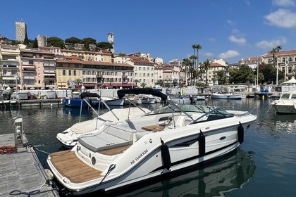 Rental Motorboat SEA RAY 210 SUN SPORT Cannes