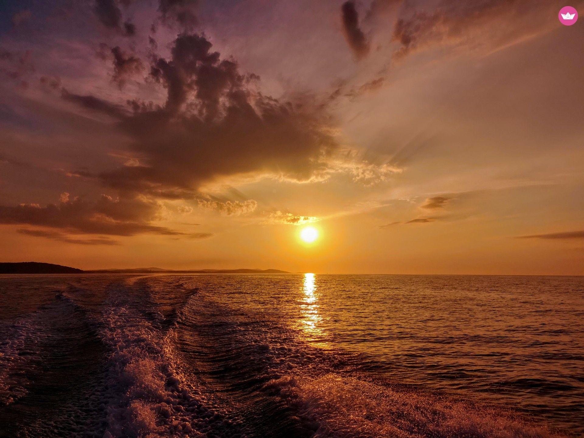 Prince 570 Open 140Ks Suzuki w Zadar do wynajęcia