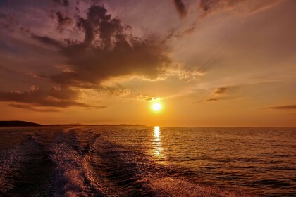 Prince 570 open Suzuki 140hp