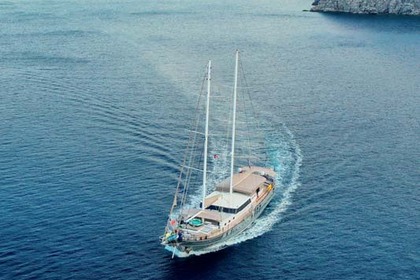 NEVRA QUEEN  CHARTER