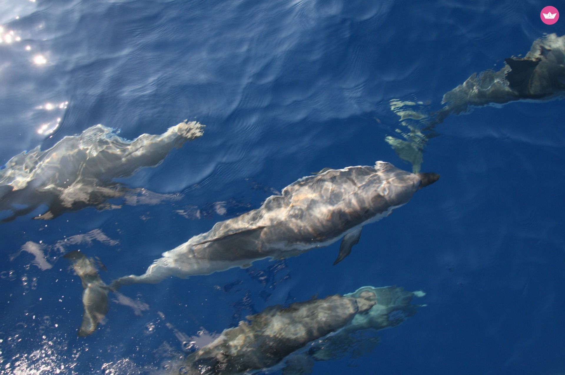 Bavaria 34 a Bari da noleggiare