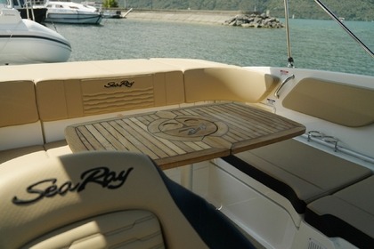 Sea Ray 210 Spx