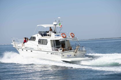 DellaPasqua fly DC13