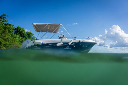 Charter Motorboat Pacific Craft 545 Open Port-Louis