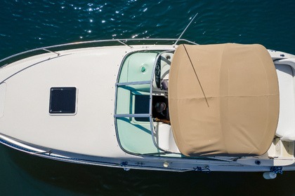 Sea Ray 240 Sundancer