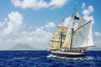 Alquiler Velero Picchotti Tallship  Last Mediterranean Brigantine Caribe