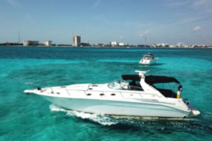 Alquiler Lancha Sea Ray 450 Sundancer Cancún