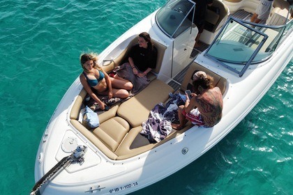 Sea Ray 295 Bow Rider