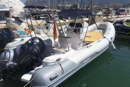 Charter RIB Predator 599 Dénia