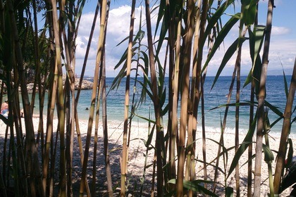 Jeanneau Sun Odyssey 49i