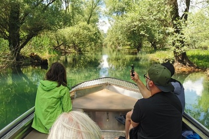 Rental Motorboat Nautalu 600 Rijeka Crnojevića