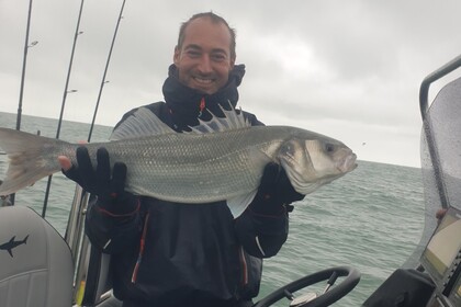 Noleggio Gommone Sillinger Silverline Dunkirk