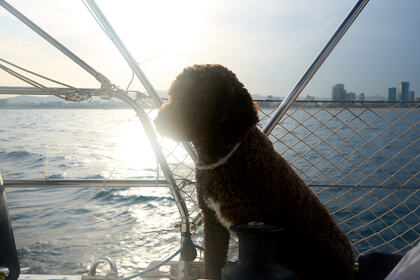 Enjoy an unforgettable day at sea aboard our 12-meter sailing yacht in Barcelona Welcome aboard!