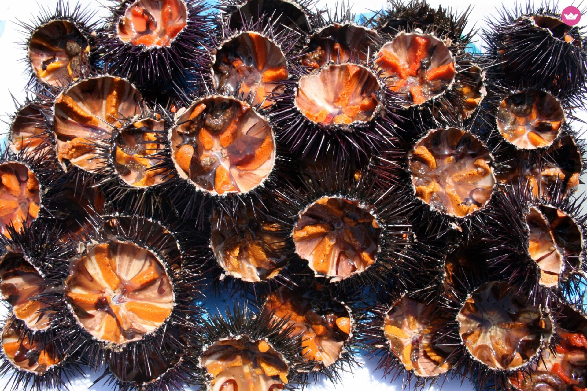 Barca a vela Bavaria 34 da noleggiare