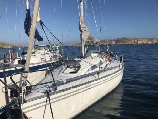 Mani 36