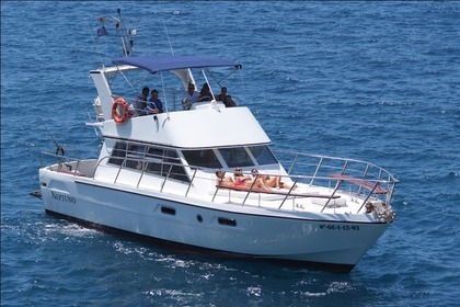 Location Bateau à moteur POWLES EDICIÓN LIMITADA Los Cristianos