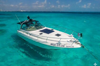 Searay Yacht to rent