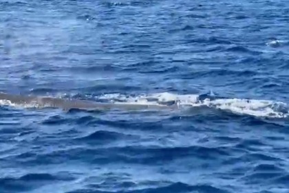 Explore the Caribbean in Style with the Lavezzi 40 Catamaran!