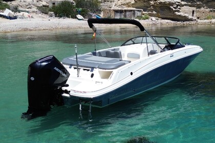 Bayliner VR6 con arco de Waveboard