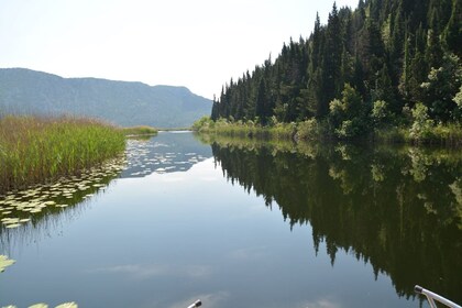 Lolivul 7.4 in Blaće,  near Plače and Opuzen