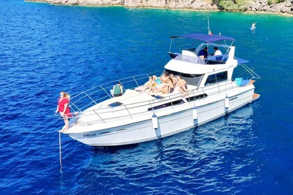 Charter Motorboat Sea Ray 300 Fethiye