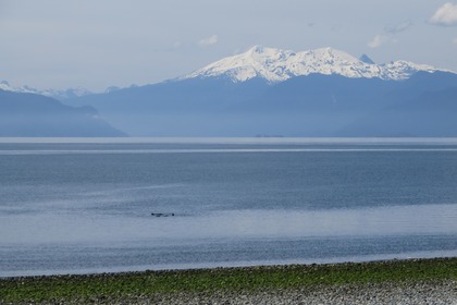 Lancha Rapida para expediciones