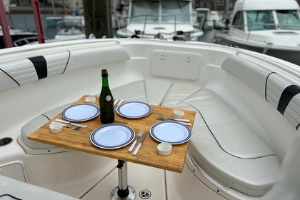 WELLCRAFT - 252 FISHERMAN