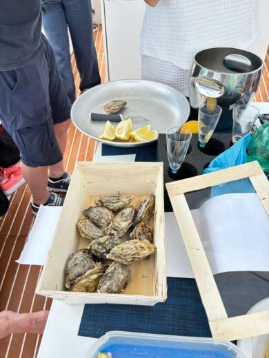 Prowincja La Spezia Motorboat cantiere F.M. di Morri Davide e Morri Giorgio srl FM 41 alt tag text