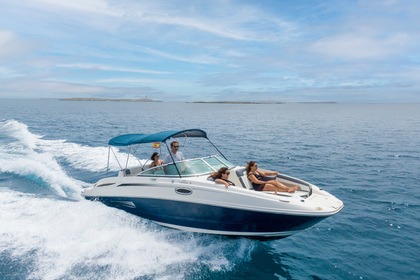 Sea Ray 260