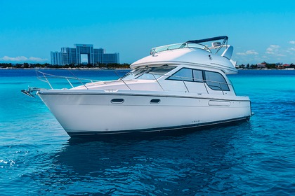 Hire Motorboat Bayliner 40 Cancún