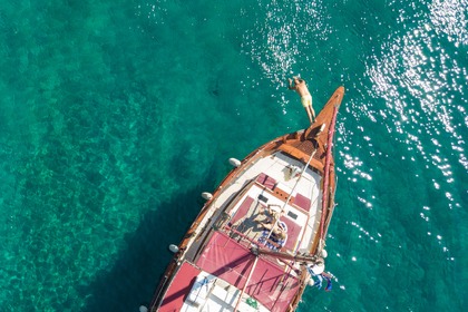 Alma Libre Daily Cruises