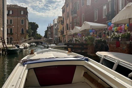 Let's all go boarding!